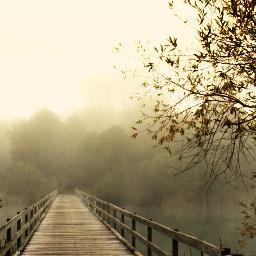 lbergan18's profile picture. 