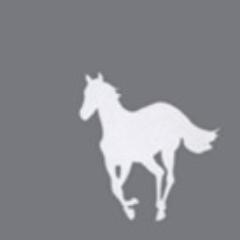 Srob78's profile picture. Nothing in particular