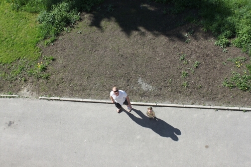 danielsanskij's profile picture. 