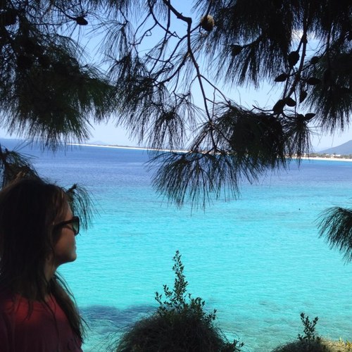 justdanute's profile picture. 