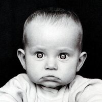 305Trader (@305trader) 's Twitter Profile