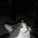 Robert Govea - @attaboybob - Twitter