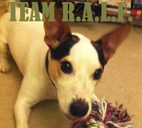 Official Team R.A.L.F.