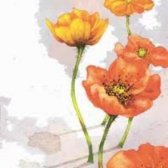 saladdd1's profile picture. 