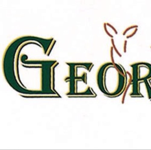 Welcome to Georgios V Chalet in Kalavryta, Greece’s premier Alpine Resort,serving its philosophy:the harmonization of hospitality with the Helmo's nature.