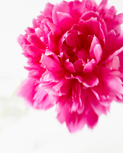 smb2200's profile picture. 