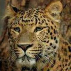 AhmedMutaz80's profile picture. 