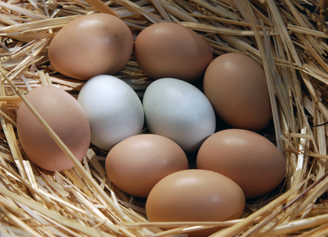 PlentyInReach's profile picture. All you need is right here!