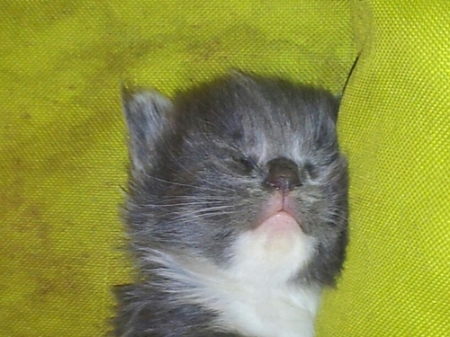 ShaunSparkin18's profile picture. 