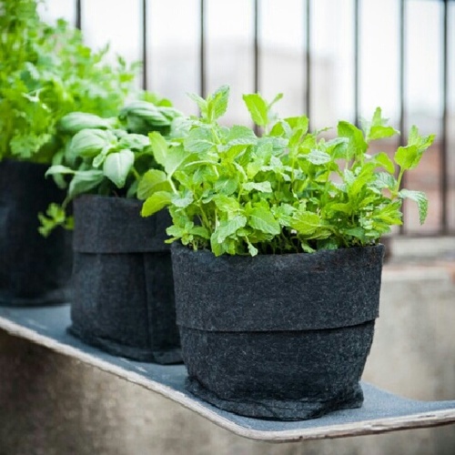 materiaprimadiy's profile picture. 