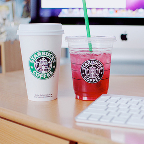 socorromesser41's profile picture. 