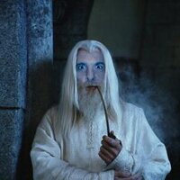 🏁 🚘 Gandalf was me 🚘 🏁 1️⃣0️⃣1️⃣7️⃣3️⃣(@Gandalfwasme) 's Twitter Profileg