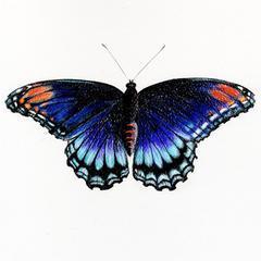 DeborahDeeStJam's profile picture. I am a Woman of God highly favored of theLord! I have heart for God!  I love JESUS CHRIST with my whole heart.JESUS brought me up out of the miry clay.