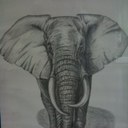 Alan Marriott - @madmazza7843 - Twitter