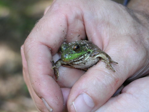 Curtisj's profile picture. CEO at Citizen Kanine, Track and Cross Country Coach at Washburn High School