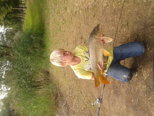 rikijonkman's profile picture. follow me en druk op de follow knop :-P