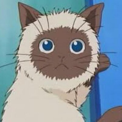 カルピン Karupin Bot Twitter