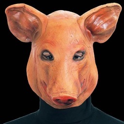 Doktor_Sondre's profile picture. Er antagelig den feteste grisen i Christiania. Du vet, denne forunderlige by som ingen forlater før han har fått merker av den.