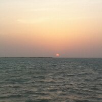 Faisal SM (@dr_faisal_sm) 's Twitter Profile
