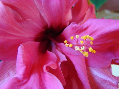 Alekioz's profile picture. 