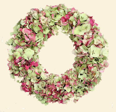 Paradijsjeveluw's profile picture. Heerlijk huisje op de veluwe, voor een ontspannen week of weekendje weg!