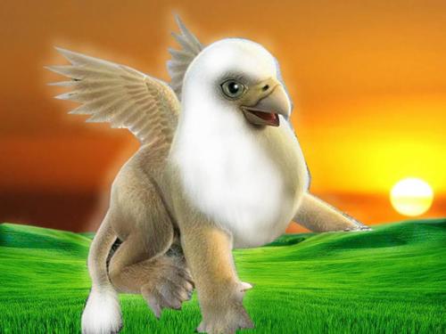 abhishek59772's profile picture. 