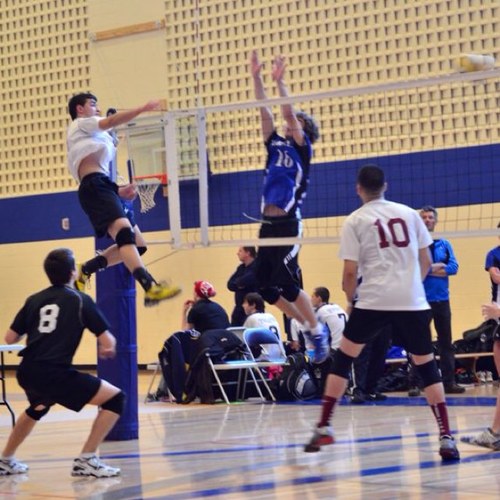 anthony_cheeks's profile picture. 