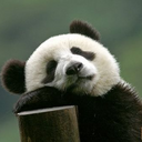 Barb Morgan - @baroochi - Twitter