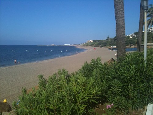 sugars_gaz's profile picture. 