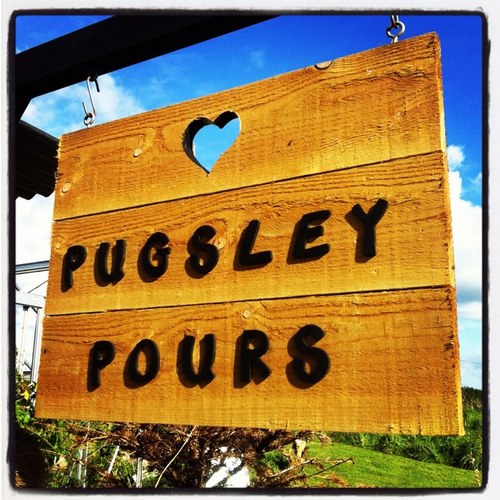 PugsleyPours's profile picture. The official hang out of the Pugsley Pours Crew, Padstow. Giggles & Bubbles a plenty! Time to drink Champagne & dance in the field...