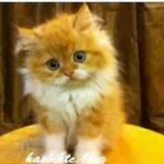 I miss you :)