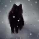 Diane Mort - @DianeMort1 - Twitter