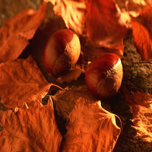 PattonElijah's profile picture. loves to surf