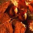 Elijah Patton - @PattonElijah - Twitter