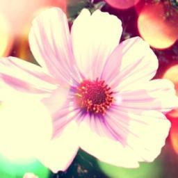 FourLanguages's profile picture. 