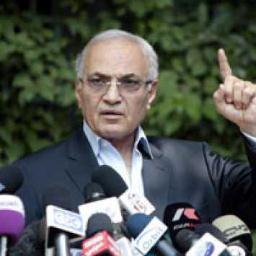 tarek_teaima's profile picture. 