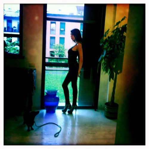 AlyceNoir's profile picture. Actress 🩸🖤 Divina for Andy Casanova 💎🔞 Legal for Giorgio Grandi on A.V.