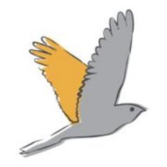 NightjarTravel Profile Picture