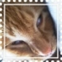 ushiab (@ushiab) 's Twitter Profile