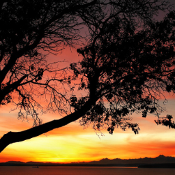 mandy_schell's profile picture. smile....it looks good on you :) 
soccer is my life
woolwich wolfpack #8 3