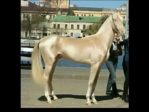 Kik: gugualghaith Instagram: @GuGuAlGhaith *el7mdella 3ala kl 7al*♥