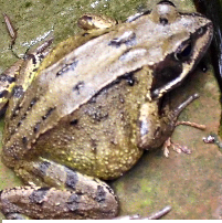 CharlesRickell's profile picture. True crime writer, member of the Crime Writers' Association. Murders, Homicides & Suspicious Deaths, Calderdale.