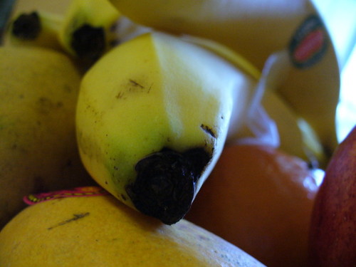 ladygrurple's profile picture. 