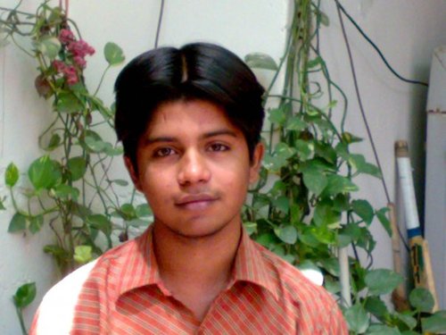 Electronic Engineer