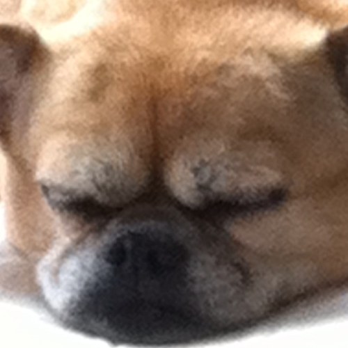 MamaLuchina's profile picture. 