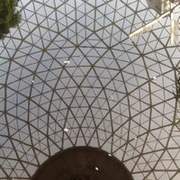 Amanda Irene Seligman (@amandaiseligman) 's Twitter Profile