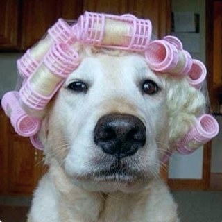 Bom humor, mau humor. Vida real, conto de fadas. Amor, curtição. Tudo na vida tem escolhas e eu escolho todas! (: contato: umabipolardeverdade@live.com