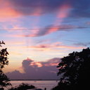 Patty Stewart - @lanternmom - Twitter