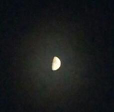 dialect95's profile picture. 홍규아빠, 글쟁이, 시간강사, 문학박사(현대비평), 한국어교원, 난 한국어와 한국문학이 좋은 한국사람이다