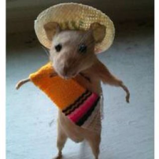 CHOLO: Chu only live once.